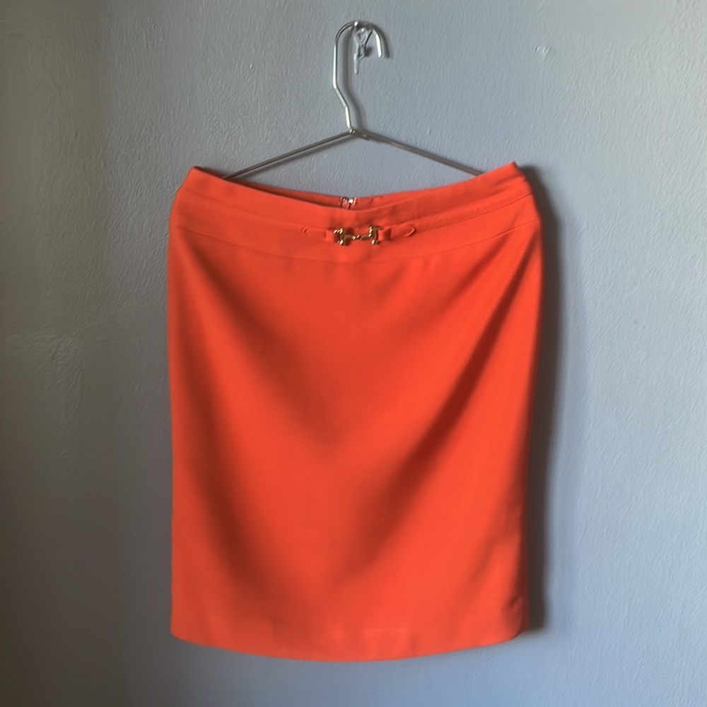 Skirt by Sharagano!